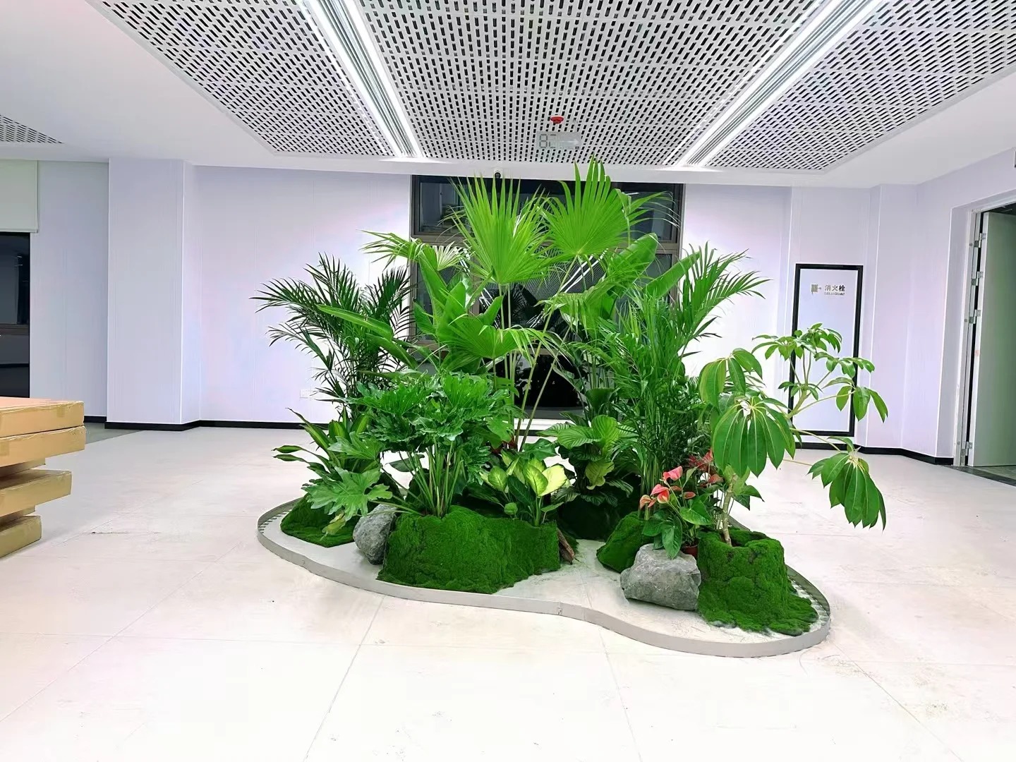 宁波镇海盆景出租价格